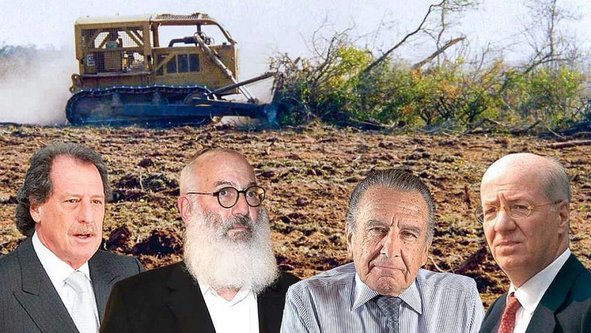 La lista de Greenpeace: los 300 empresarios que deforestaron la Argentina