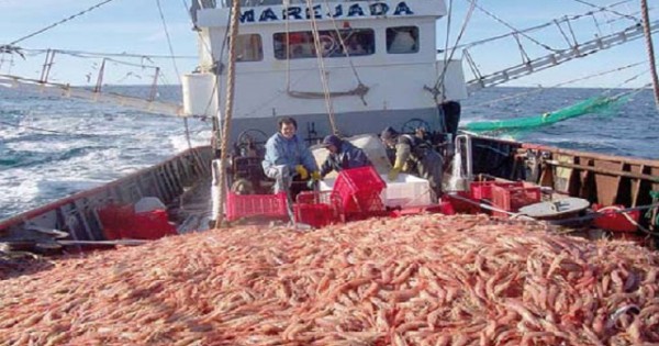 "Líquido naranja" y olor a podrido en Puerto Madryn: denuncian que vuelcan residuos pesqueros al mar