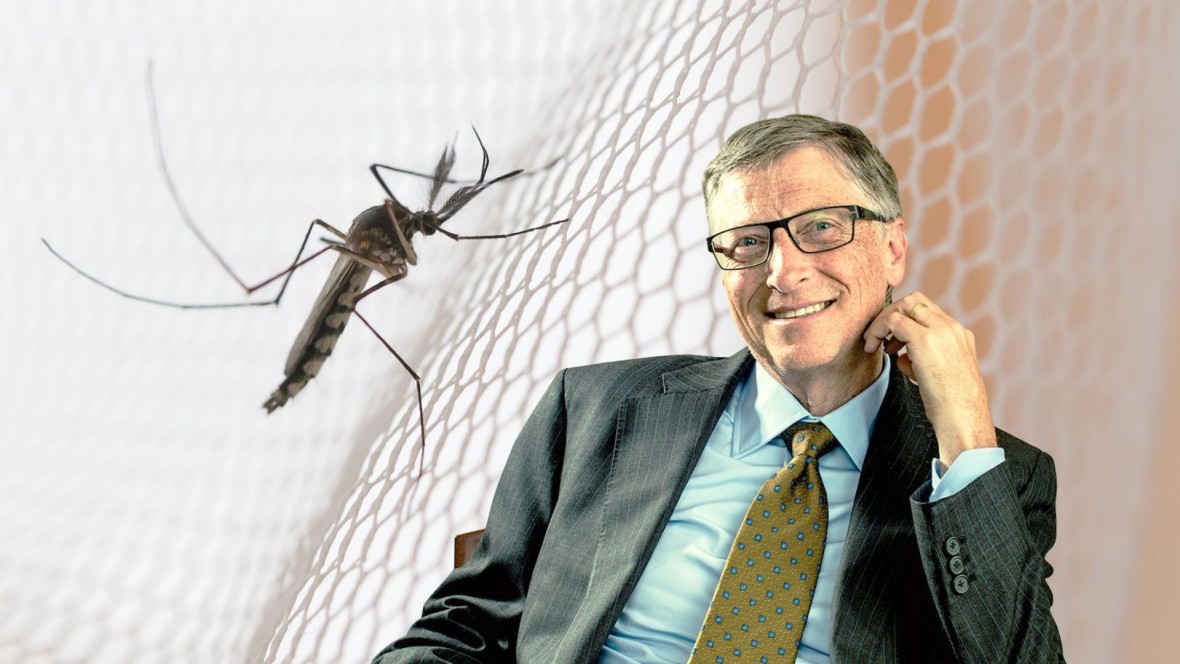 ¿De verdad?: En el Gobierno debaten si la culpa del dengue es de Alberto o de Bill Gates