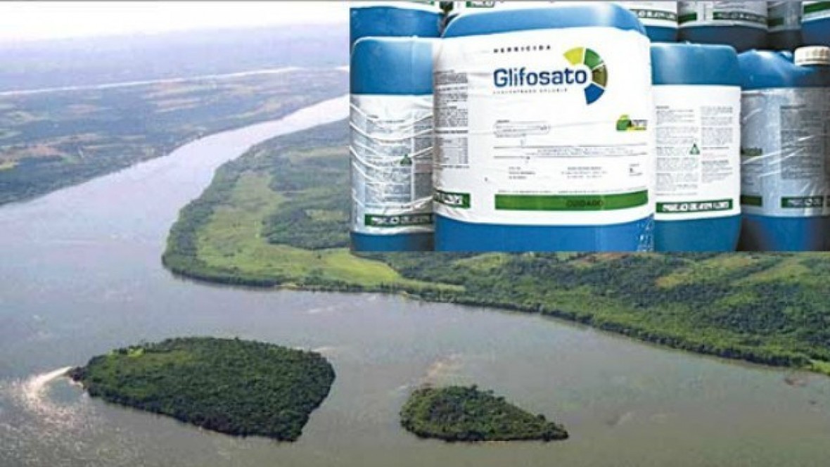 Entre Rios está contaminado con los más altos niveles de glifosato en el  mundo - El Extremo Sur